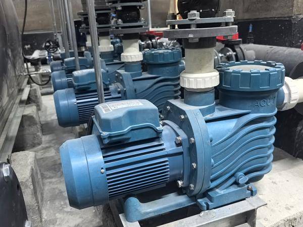 從青島泳池項目看AQUA愛克:解析泳池設(shè)備高效運行的技術(shù)密碼:泳池設(shè)備