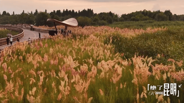 【開屏早知道】23家合格<strong></p>
<p>游泳池</strong>！昆明公示8月游泳池水質(zhì)檢測(cè)情況:游泳池